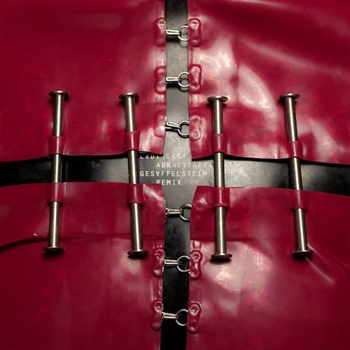 Lady Gaga vs Toby Green - Abracadabra x Check This Out (Francesco Perre Mashup)