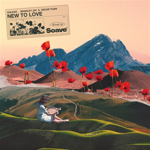 DALEXO & Bradley Jay & Oscar Yuan - New To Love (Original Mix)
