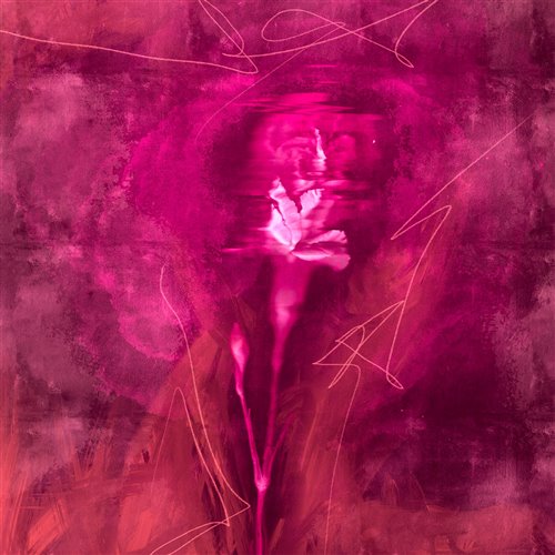 Brray, Cobuz & Bustta - angel (Extended Mix)