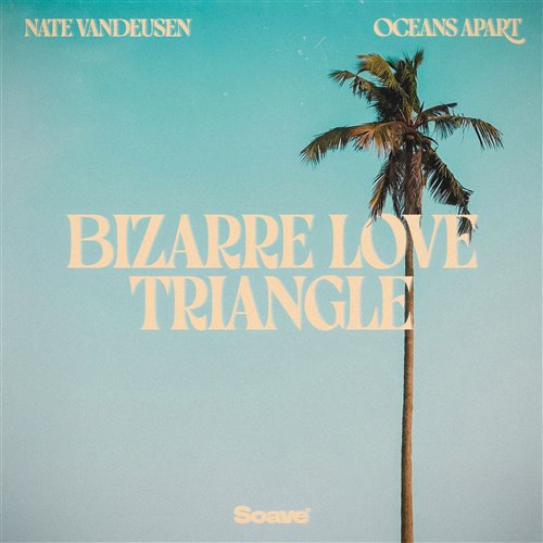 Nate VanDeusen & oceans apart - Bizarre Love Triangle (Original Mix)