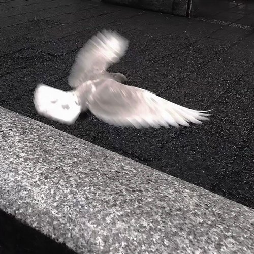 Jaymes Young - Infinity (Coopex Remix)