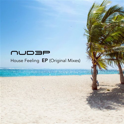 House Feelings (Original Mix)