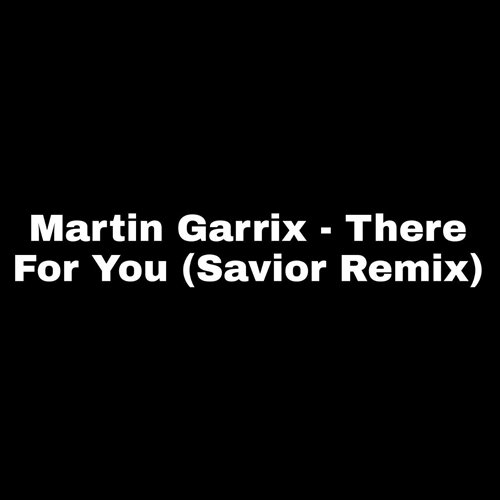 Martin Garrix - There For You (GERRY Mashup)