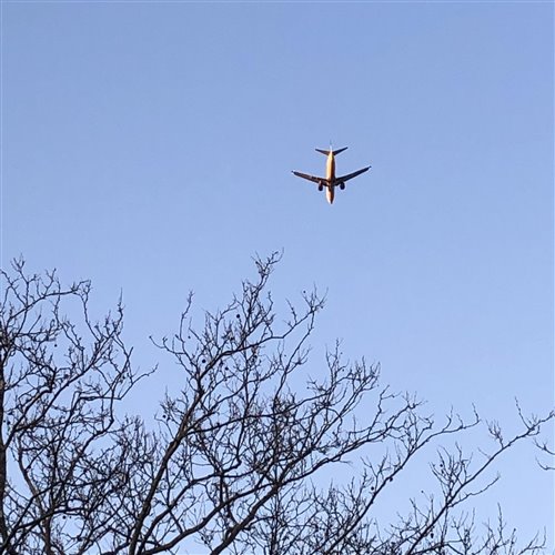 If you listen this, then a devil come in