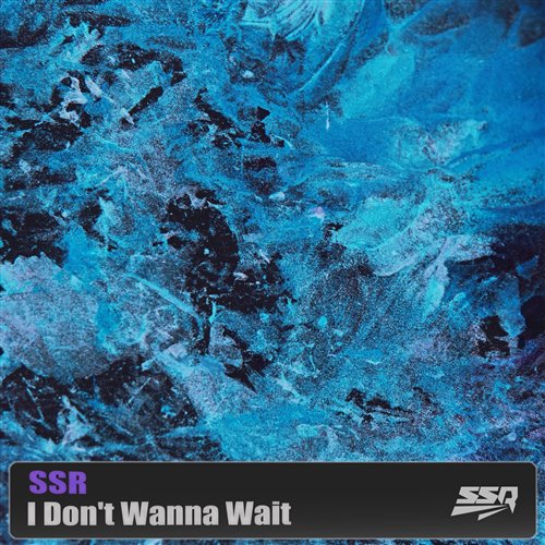 Sound Rider - I Dont Wanna Wait (Extended Mix) (1)