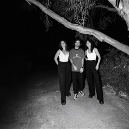 Felix Cartal & Vox Rea - Dissociate (Extended Mix)