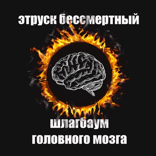 Шлагбаум головного мозга