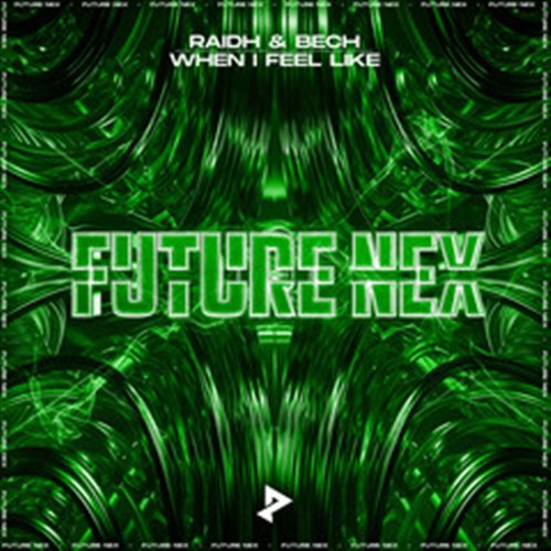 RAIDH & BECH - When I Feel Like (Extended Mix)