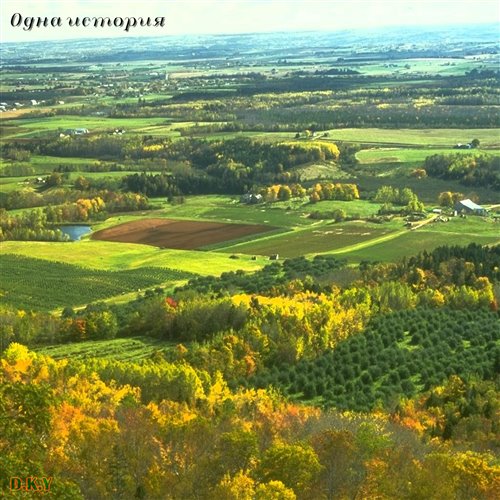 D.K.Y - Участь