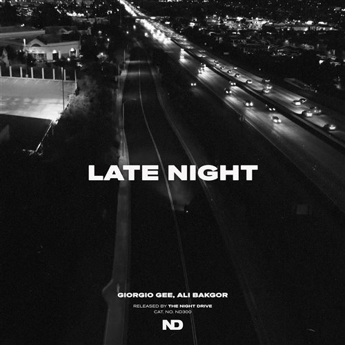 Giorgio Gee, Ali Bakgor - Late Night (Extended Mix)