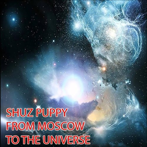 Shuz Puppy - Cracked World(2022 experimental mix)