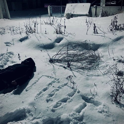 Närvijama - Последняя туча (feat. A. С. Пушкин)