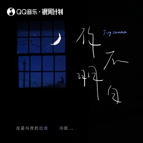 Joysaaaa 你不明白 (文昌DJYdi Electro Mix 国语女)