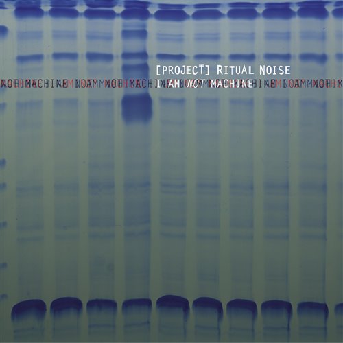 Project Ritual Noise - Port Dream