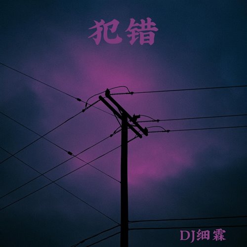 顾峰 x 斯琴高丽 - 犯错 (The Sorm Mix 2025)